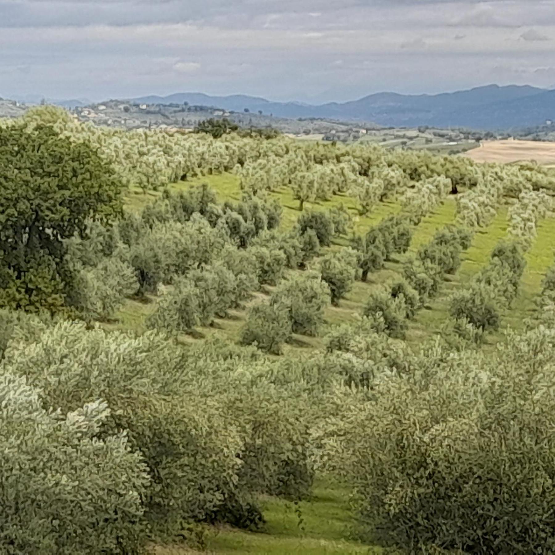 Tenuta San Felice Giano dellʼUmbria Buitenkant foto