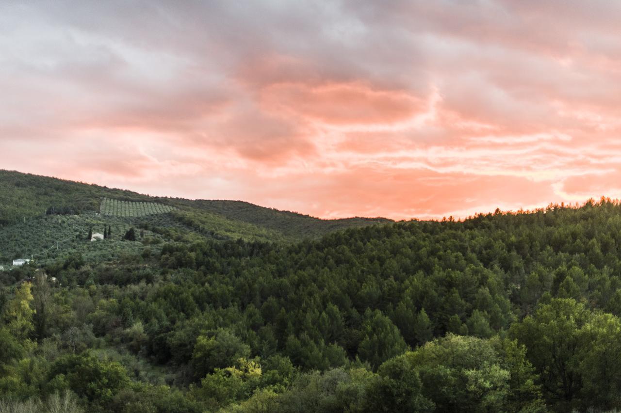 Tenuta San Felice Giano dellʼUmbria Buitenkant foto