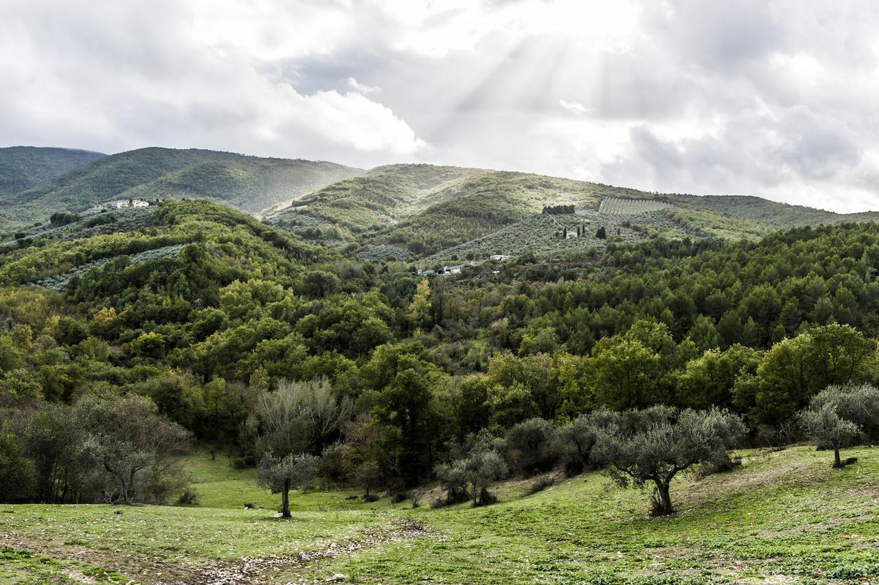 Tenuta San Felice Giano dellʼUmbria Buitenkant foto